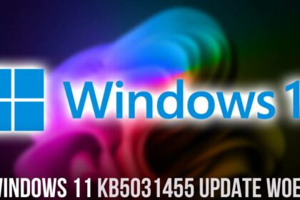 Windows 11 KB5031455 Update Woes